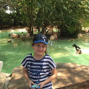 Meet your Posher, Imad